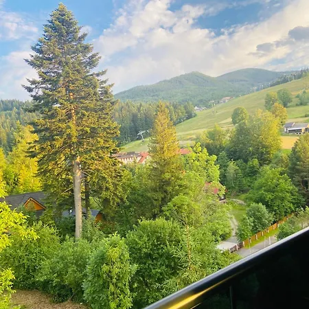 Widoknastok Apartament *